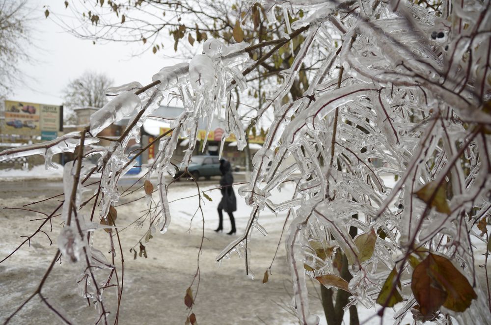Снег в городе: фоторепортаж Снег в городе: фоторепортаж