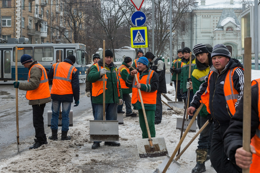 Дворник — Википедия