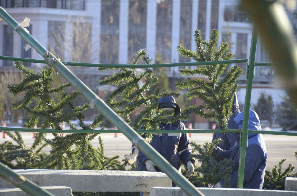 На площади Ленина вырастает Ёлка; фоторепортаж