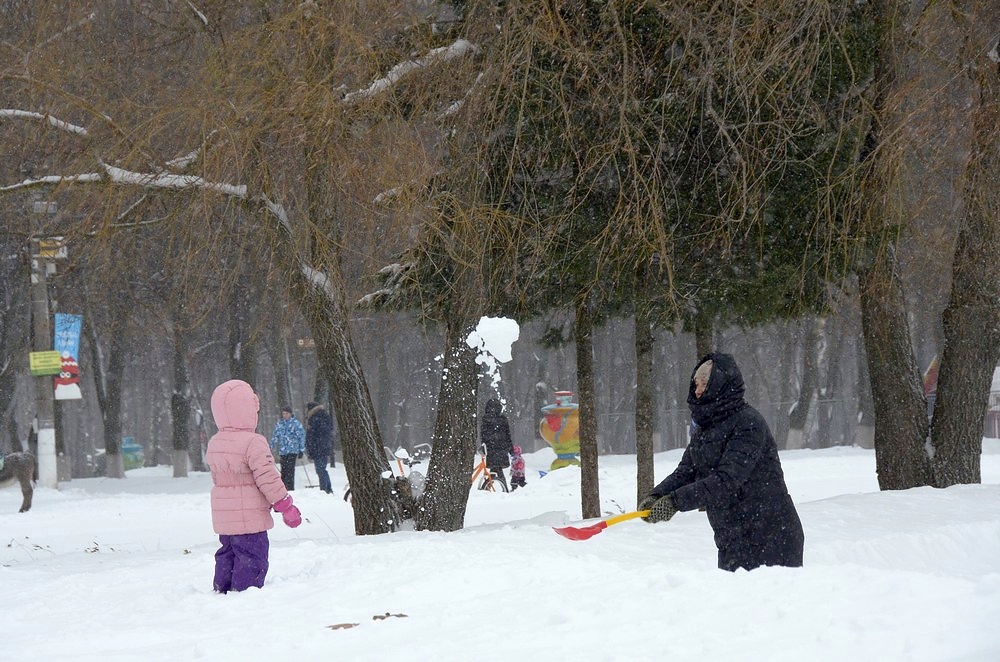 Выходной в парке; ФОТО Выходной в парке; ФОТО