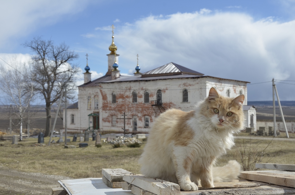 Белёвские зарисовки: фото Белёвские зарисовки: фото